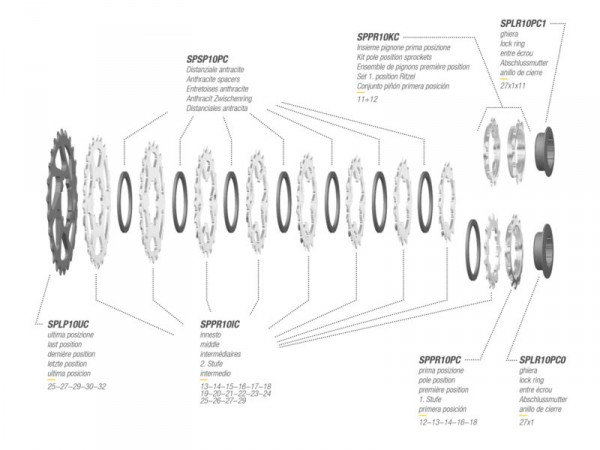 Cassettes Miche Campagnolo parts separately