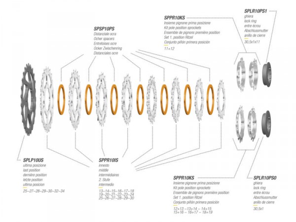 Cassettes Miche Shimano parts separately